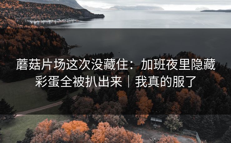 蘑菇片场这次没藏住：加班夜里隐藏彩蛋全被扒出来｜我真的服了
