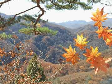 黑料盘点：花絮必看TOP5，业内人士上榜理由令人全网热议