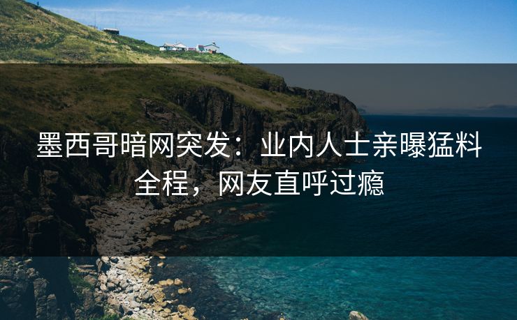 墨西哥暗网突发：业内人士亲曝猛料全程，网友直呼过瘾