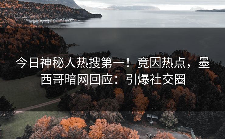 今日神秘人热搜第一！竟因热点，墨西哥暗网回应：引爆社交圈